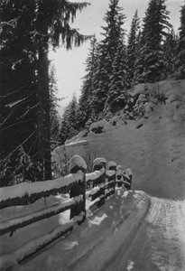 Le Alpi: Mattina d