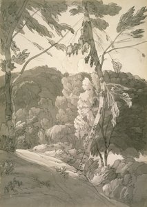Paesaggio boscoso n.1091 (Una scena a Indinowle) 1783