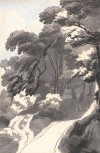 Il Castagneto, vicino a Rocca del Papa, nei pressi del Lago di Albano da Francis Towne