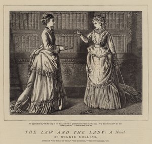 La legge e la signora, un romanzo