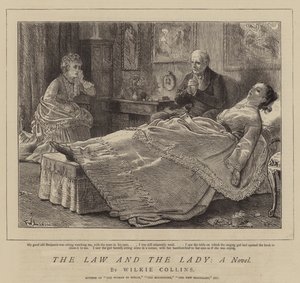 La legge e la signora, un romanzo