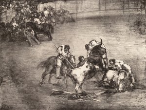 Un picador catturato da un toro, da 