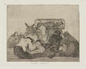 Strana Devozione!, tav. 66 dalla serie I Disastri della Guerra