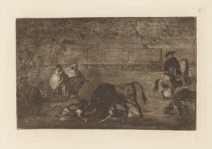 Les chiens laches sur le taureau (I cani liberati sul toro), Tavola C da La tauromaquia (terza edizione) da Francisco de Goya