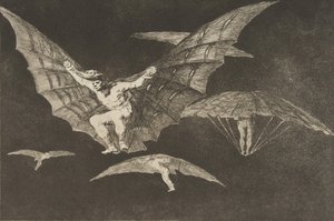 Tavola 13 dai Disparates: Un Modo di Volare