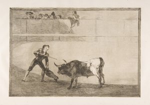 Tavola 30 della Tauromachia: Pedro Romero che uccide il toro fermo, 1816