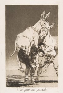 Tavola 42 da Los Caprichos: Tu che non puoi da Francisco de Goya