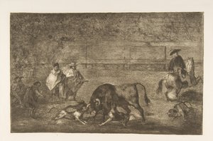 Tavola C: I cani liberati sul toro, ca. 1816