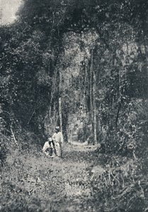 Estrada de Rodagem do Alto Parana