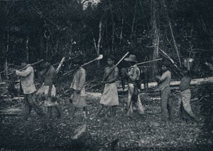 Indios Guaranys, voltando de uma caçada, 1895 da Francisco Henszler