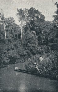 Rio de S. Anastacio, 1895 da Francisco Henszler