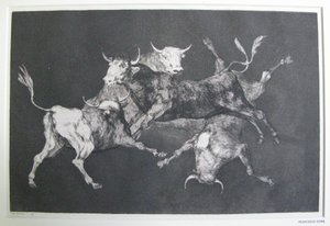 Disparate de tontos da Francisco Jose de Goya y Lucientes