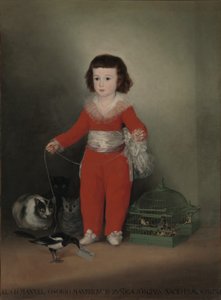 Don Manuel Osorio Manrique de Zuniga da Francisco de Goya