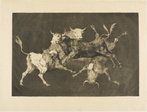 La follia dello sciocco, da Disparates da Francisco Jose de Goya y Lucientes