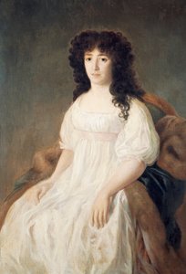Ritratto della Contessa di Casa Flores da Francisco Jose de Goya y Lucientes