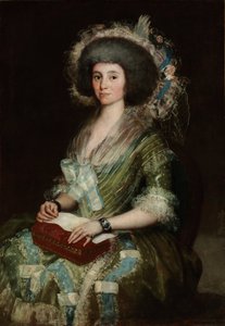 Ritratto di Dona Manuela Camas, moglie di Cean Bermudez da Francisco de Goya