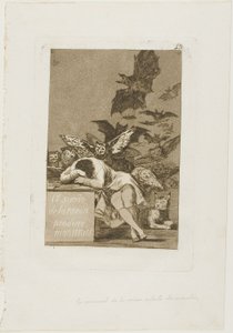 Il sonno della ragione genera mostri, tavola 43 da Los Caprichos da Francisco Jose de Goya y Lucientes