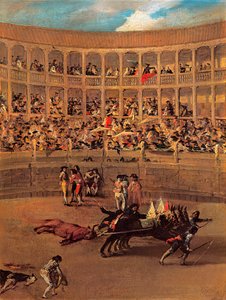Immagine Sconosciuta da Francisco de Goya