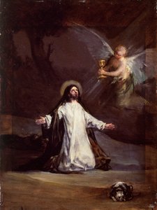 Immagine Sconosciuta da Francisco de Goya