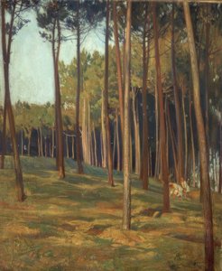 Il pino rosso da Francisco Llorens Diaz