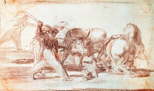 Corrida: i Mori che risiedevano in Spagna, ignorando le superstizioni del Corano, adottarono quest