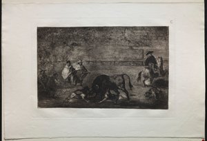 Corride: Il cane liberato sul toro da Francisco de Goya