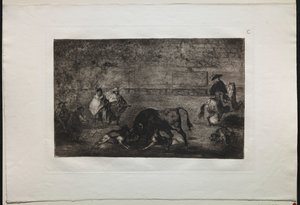 Corride: Il cane liberato sul toro, 1876 da Francisco de Goya