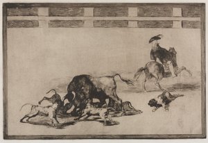 Corride: liberano i cani sul toro, 1876 da Francisco de Goya