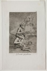 Capricci: Professione Devota
