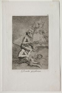 Caprichos: Professione devota