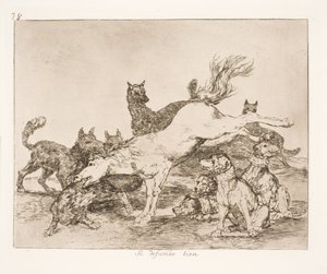 Si difendono bene (78) da Francisco de Goya