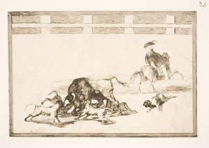 Stanno mettendo i cani contro il toro da Francisco de Goya