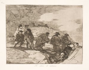 Non sanno dove (70) da Francisco de Goya