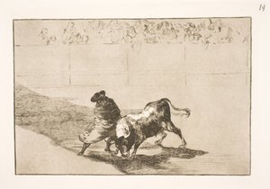 Il molto talentuoso allievo di Falces, celebrato nel suo mantello, inganna il toro con i movimenti del suo corpo