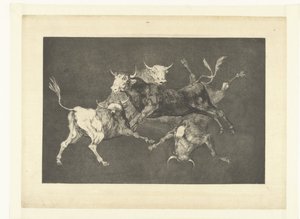 Follia dei piccoli tori da Francisco de Goya