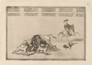 Liberano i cani sul toro da Francisco de Goya