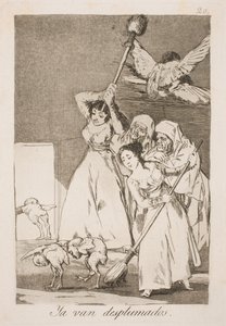 Qui sono stati raccolti tutte le piume da Francisco de Goya