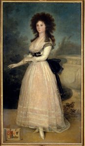 Ritratto intero di Dona Tadea Arias de Enriquez da Francisco de Goya