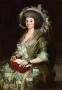Ritratto di Dona Manuela Camas da Francisco de Goya