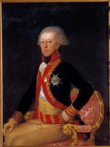 Ritratto del Generale Don Antonio Ricardos da Francisco de Goya