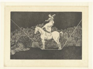 Follia precisa da Francisco de Goya