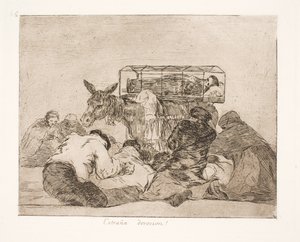 Strana devozione (66)