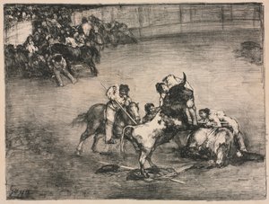 I tori di Bordeaux: Picador catturato da un toro