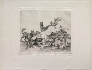 Gli orrori della guerra: Si difende bene da Francisco de Goya