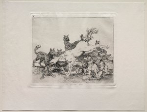 Gli orrori della guerra: Si difende bene da Francisco de Goya