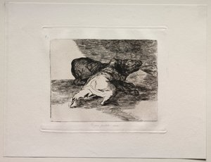 Gli orrori della guerra: ne ricava qualcosa da Francisco de Goya