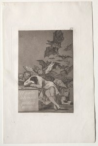 Il sonno della ragione genera mostri da Francisco de Goya