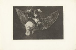 Follia volante da Francisco de Goya