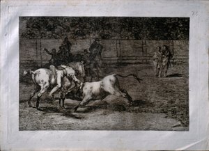 Mariano Ceballos, detto el Indio, uccide il toro a cavallo da Francisco de Goya