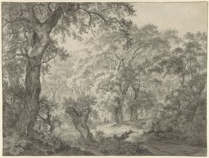 Paesaggio boschivo da Franciscus Andreas Milatz